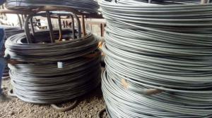 盤(pán)元，盤(pán)螺